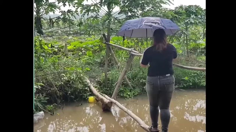 Самые смешные видео. Неуклюжие девушки. Сборник самых