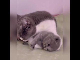 Любящая мама