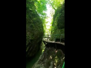 дорога у свирского водопада.
