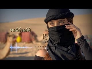 New Song 2023 _ New Hindi Song _ Wallah Habibi (Audio Video) _ Arabic Songs