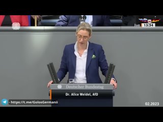 Алис Вайдль о антинемецкой и проамериканской политике правительства ФРГ (2022).