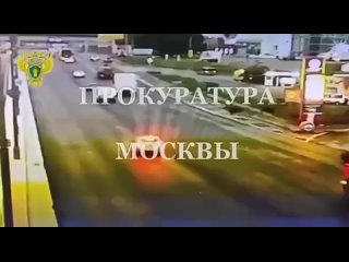 В Москве водитель на МКАДе выбил страйк из перебегающих дорогу лосей