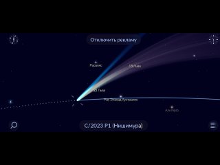 LIVE COMET ☄️ P1 Нишимура