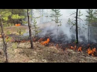 В Егорьевском районе почти удалось локализовать лесной пожар.