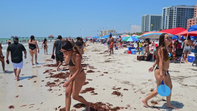 Clearwater Beach Florida