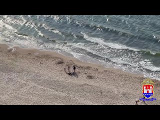 🤿В Балтийском море сотрудниками полиции Калининградской области и нарядом регионального Погрануправления ФСБ России пресечена не