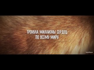 Мой Хатико — Русский трейлер (2023).mp4