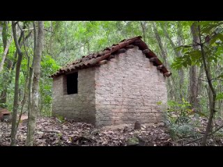 Primitive Technology: Wood Ash Insulated Furnace