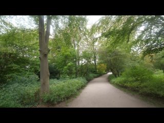 Tour of Copenhagen - Big Danish Lunch + Canal Boat Tour in Denmark!