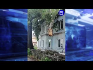 В Новосибирской области ураган разломал деревом крышу дома и оставил без света 50 деревень