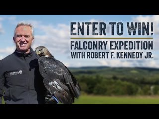Win an all-expenses-paid trip to NY this November for a Falconry Expedition with Robert F. Kennedy Jr.