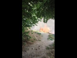 Крупный пожар распространился в районе Богудонии