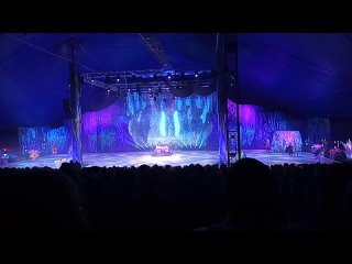 Ледовое шоу концерт  Татьяны Навки