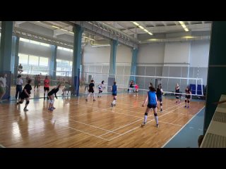 WOMEN LIGHT+ | VolleyArt3 - FOXES