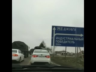 Смелость и глупость в одном флаконе