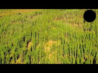 Гигантские медные котлы в болотах Якутии. Кто и зачем их построил
