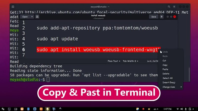 MOYASH How to Create Windows Bootable USB in Ubuntu Woe USB (