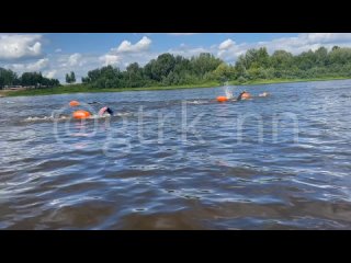 Заплыв через Волгу в этом году проходит в седьмой раз.