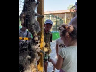 Экзотик парк и мир рептилий 🐊 

Ну что, давайте с самого интересно!