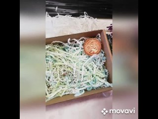 MovaviClips_Video_2(2).mp4