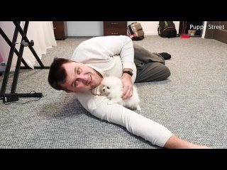 Котенок VS щенок. Кто больше любит папу