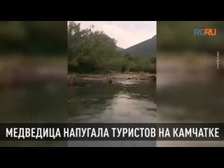 На Камчатке медведица погналась за лодкой с туристами