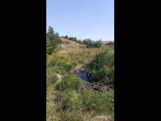 Река Кальмиус!💦 Село Солнцево!🌞