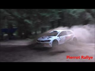 Rallye Terre de Lozère 2023: вылет Николая Грязина