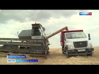 В Астраханской области вывели новые сорта пшеницы
