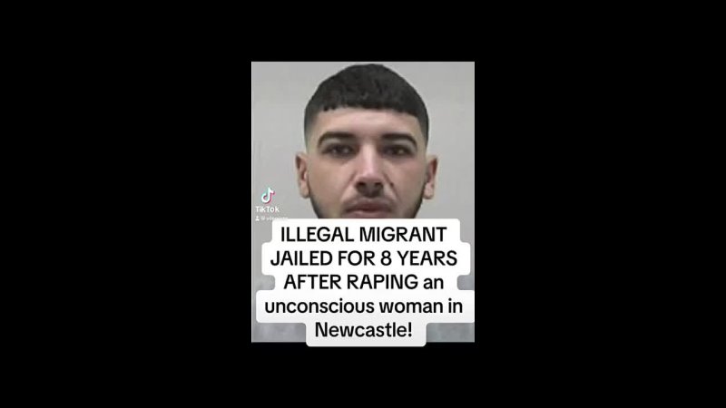 ILLEGAL ALGERIAN RAPIST MIGRANT JAILED FOR 8 YEARS