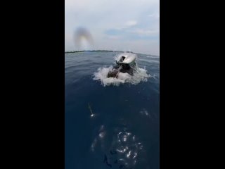 33  моторчик у подводного пловца