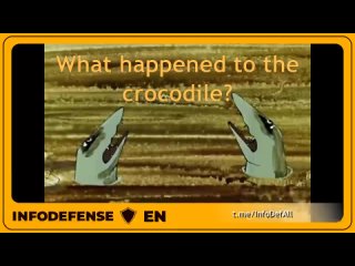 What happened to the crocodile?   ‍⬛