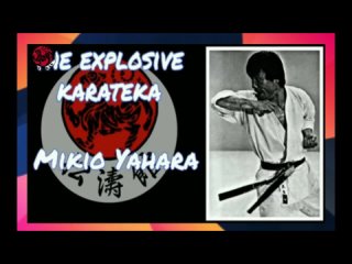 The Best Shotokan Karate Master - MIKIO YAHARA #shotokan