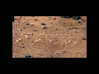 Грызуны на МарсеОригинальная фотография на сайте НАСА : Фото Думающие люди все понимают.ЗАТЕРЯННЫЕ ЗЕМЛИ