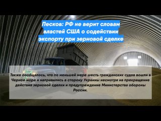 Песков: РФ не верит словам властей США о содействии экспорту при зерновой сделке