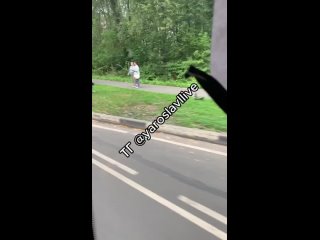 Лежал на обочине: на Тутаевском шоссе в Ярославле водитель легковушки в столб