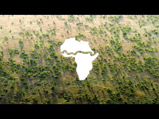 [ПАРАДОКС] Мегапроект Африки - Великая Зелёная Стена. Как превратить Сахару в оазис?!