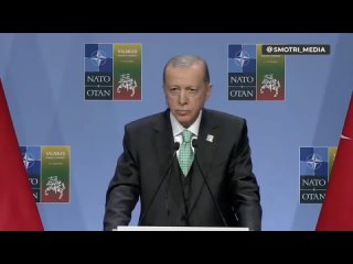 Эрдоган не комментирует передачу главарей “Азов“* Киеву и направляет все вопросы к Зеленскому.