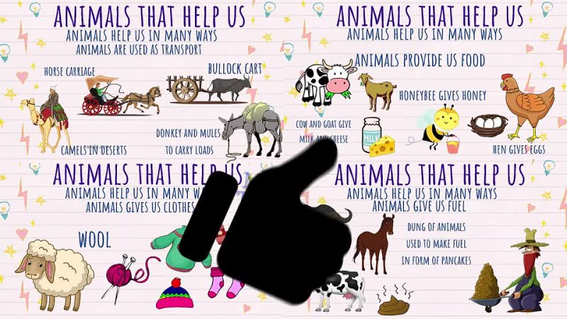 How Animals help us Uses of Animals Ways in which animals help Humans Things animals give us