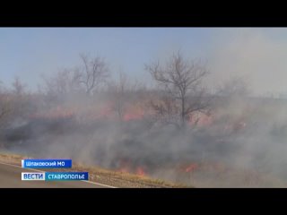Пожар площадью 50 гектаров потушили в Шпаковском округе