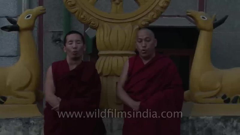Wild Films India Tibetan monks throat singing Specialized form of