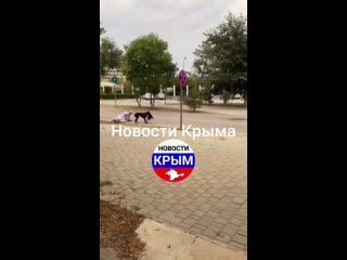 Собака загрызла насмерть кошку и напала и покусал женщину Охотничная порода не опасная способен приносить утки не бойцовская же