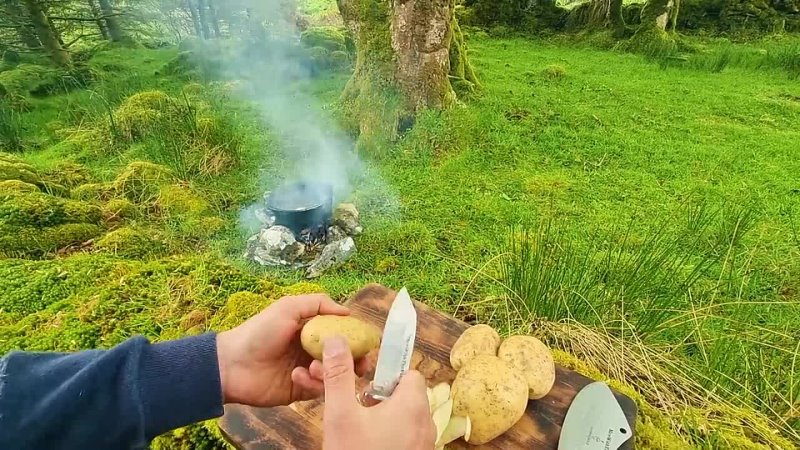 Beef lollipops cooked in the wild forest. Lollipops for men Pure