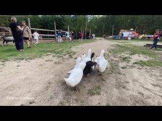 Видео от Газета Нейва _ Новоуральск