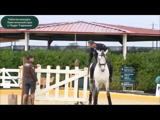 Рабочая выездка с Педро Торрешем. Working Equitation