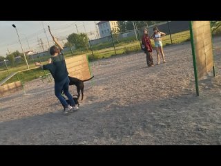 Барьеры 🚧🚧  Dogs Training Зоопсихолог 🐾 Жил Был Кинолог 🐕 Моя Жизнь Кино 🎬 Документальный Многосерийный Фильм 📽 Музей Псов