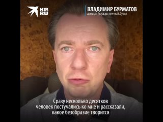 Депутат Госдумы пообещал помочь наказать виновных в истории с собакой из Петербурга