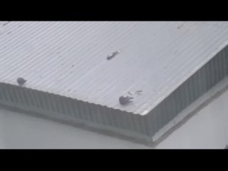 Стабилизированное видео голуби на трансформаторной будке 5381965