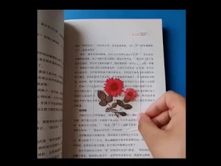 Милота, закладки для книг своими руками.