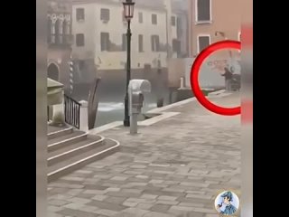 “Неожиданный прыжок в Венеции: реакция мэра“.